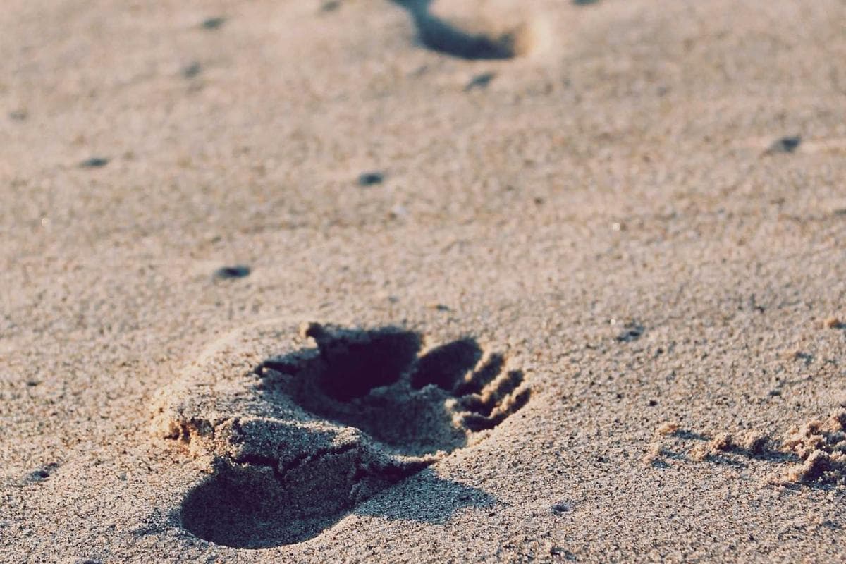 Party People event photo 15