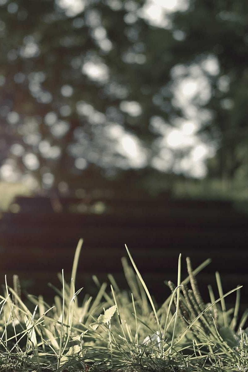 Party People event photo 21