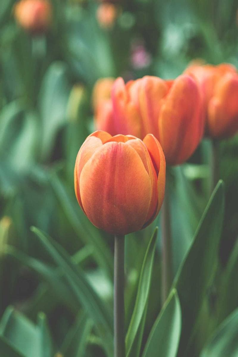 Party People event photo 26