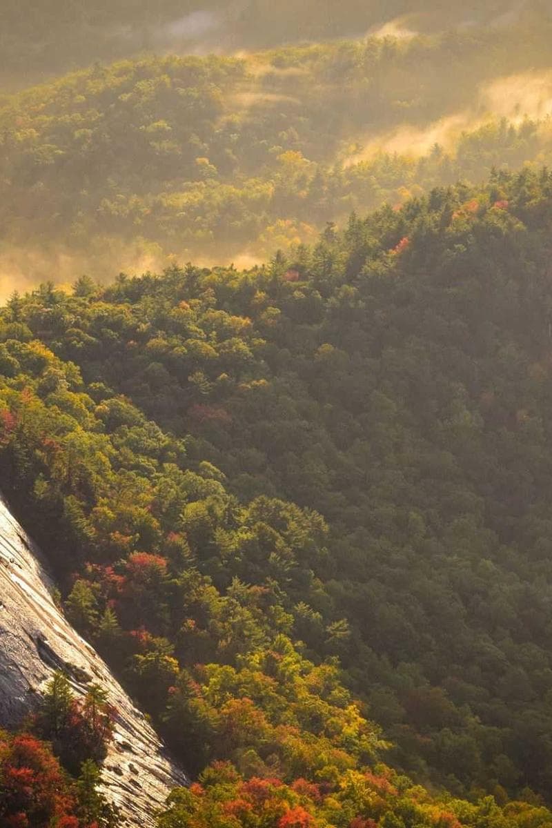 Party People event photo 31