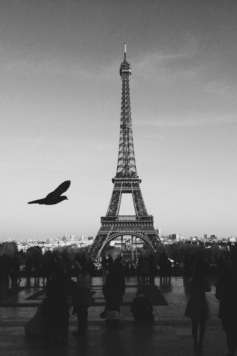 Party People event photo 11