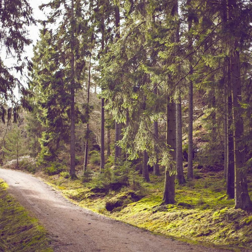 Party People event photo 18