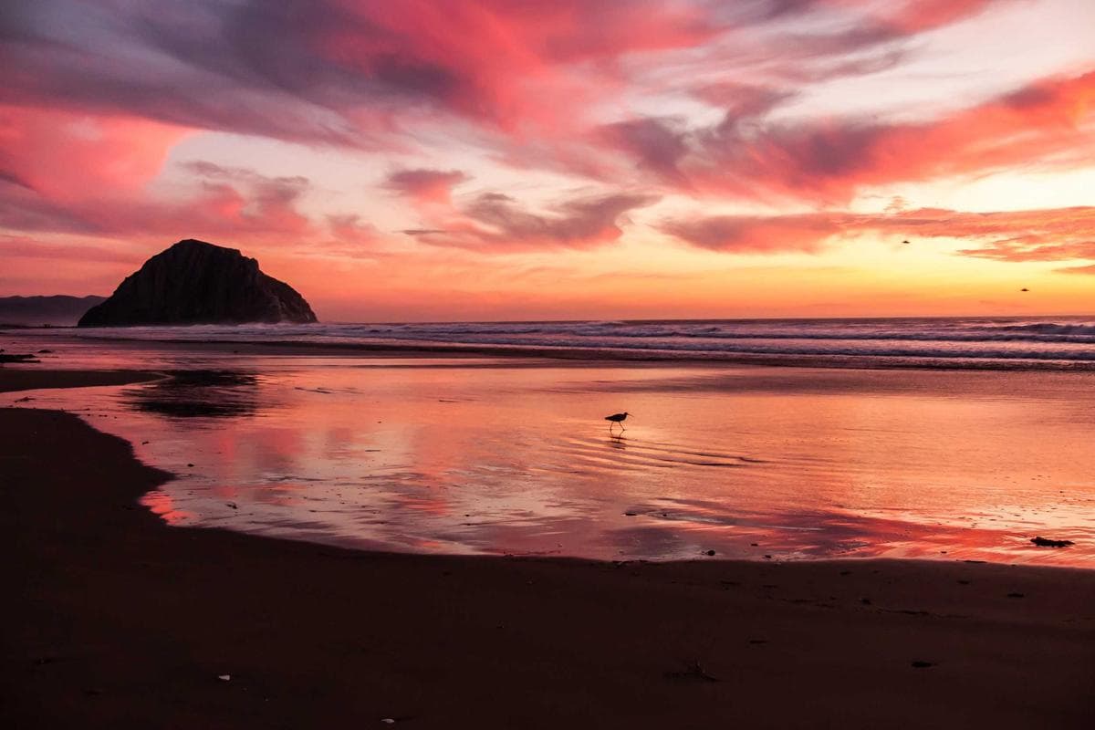 Party People event photo 25